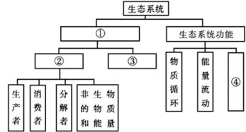 解析前期管理结构的构成部分